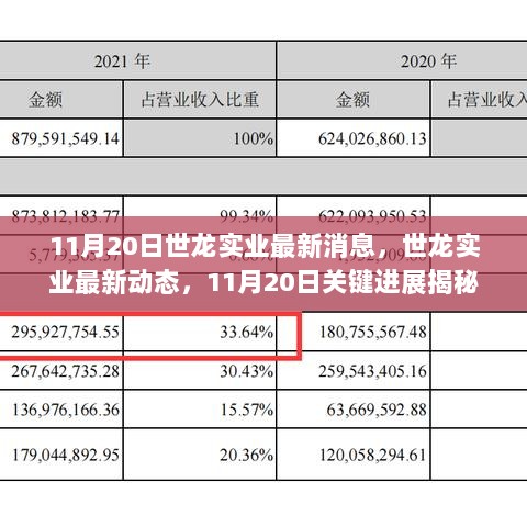 世龙实业最新动态，11月20日关键进展揭秘与最新消息