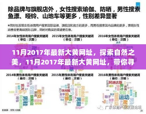 2017年11月最新大黄网址，探索自然之美，寻找内心的平静