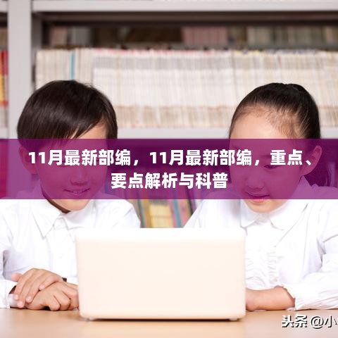 11月最新部编重点要点解析与科普