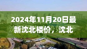 2024年11月20日沈北楼价新风，寻心之旅与自然美景共舞的沈北楼市