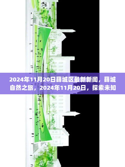 薛城自然之旅，2024年11月20日探索未知的宁静与美丽新闻报道