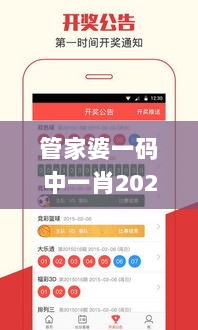 管家婆一码中一肖2024第335期,特殊解答解释落实_XAD6.13