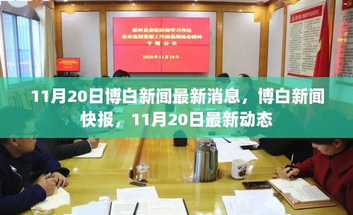 11月20日博白新闻快报，最新动态一览