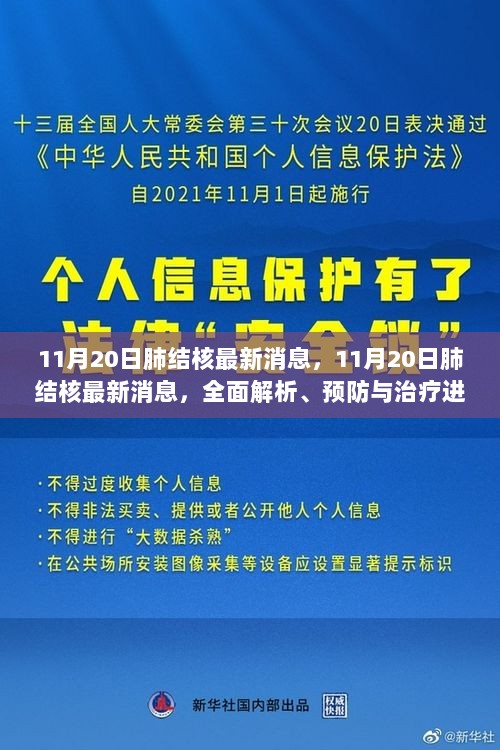 11月20日肺结核最新消息及全面解析、预防与治疗进展