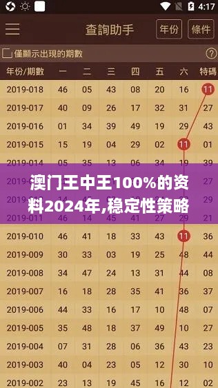 澳门王中王100%的资料2024年,稳定性策略解析_全景版QZO7.72