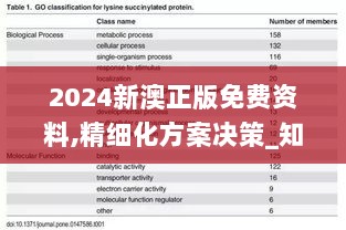 2024新澳正版免费资料,精细化方案决策_知识版LGQ8.56