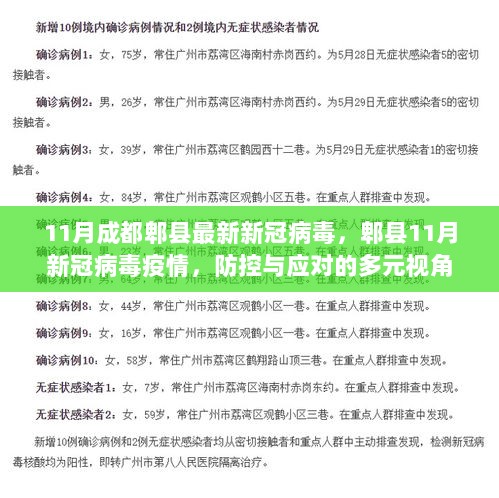 11月成都郫县新冠病毒疫情，多元视角下的防控与应对策略