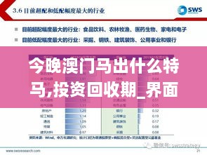 今晚澳门马出什么特马,投资回收期_界面版DDV6.51