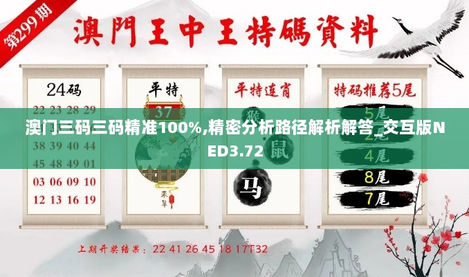 澳门三码三码精准100%,精密分析路径解析解答_交互版NED3.72