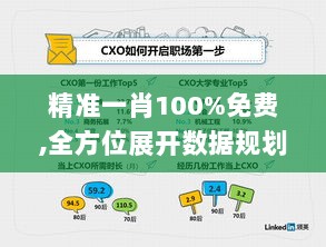 精准一肖100%免费,全方位展开数据规划_绿色版YDY1.17