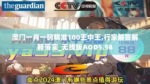 澳门一肖一码精准100王中王,行家解答解释落实_无线版AOD5.58