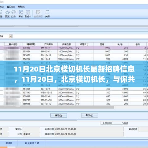 11月20日北京模切机长招聘启事，共赴成长之路，开启自信与成就的华丽篇章