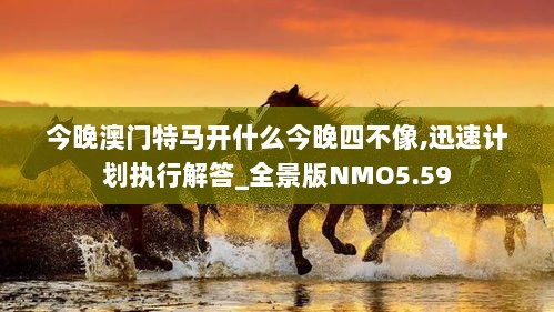 今晚澳门特马开什么今晚四不像,迅速计划执行解答_全景版NMO5.59