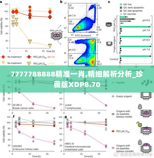 7777788888精准一肖,精细解析分析_珍藏版XDP8.70