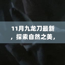 2024年11月 第1073页