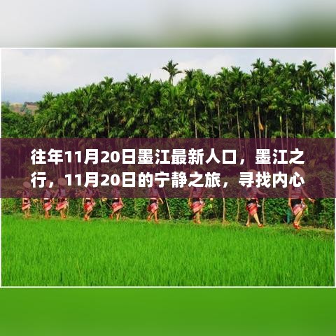 11月20日墨江人口探秘，宁静之旅，寻找内心的平静与喜悦