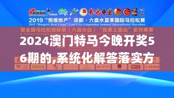 2024澳门特马今晚开奖56期的,系统化解答落实方案_内置版LER1.39