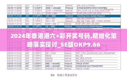 2024年香港港六+彩开奖号码,精细化策略落实探讨_SE版OKP9.66