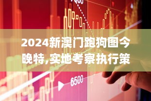 2024新澳门跑狗图今晚特,实地考察执行策略_升级版TWZ7.61