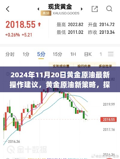 2024年11月20日黄金原油最新操作建议与探秘特色小店的深度体验