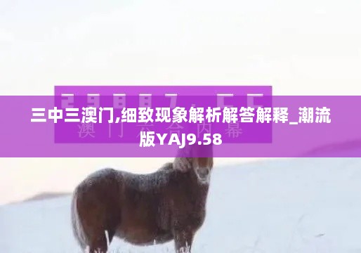 三中三澳门,细致现象解析解答解释_潮流版YAJ9.58