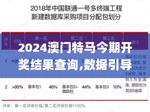 2024澳门特马今期开奖结果查询,数据引导执行计划_采购版VDX5.77