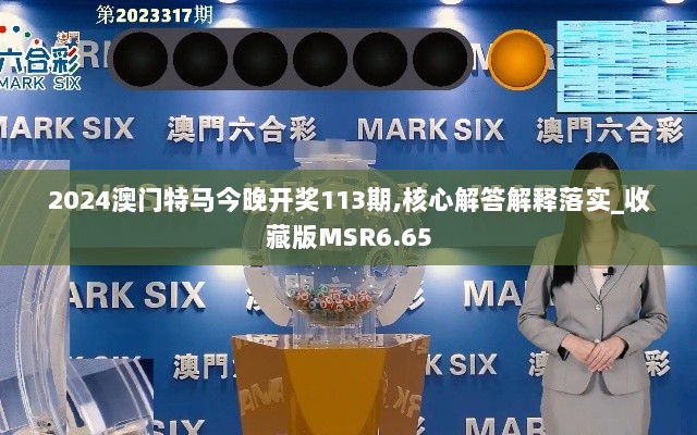 2024澳门特马今晚开奖113期,核心解答解释落实_收藏版MSR6.65