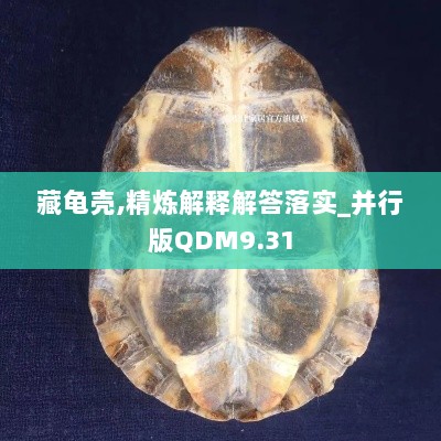 藏龟壳,精炼解释解答落实_并行版QDM9.31