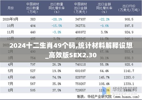 2024十二生肖49个码,统计材料解释设想_高效版SEX2.30