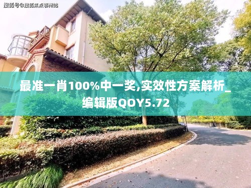 最准一肖100%中一奖,实效性方案解析_编辑版QOY5.72