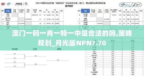 澳门一码一肖一特一中是合法的吗,策略规划_月光版NPN7.70