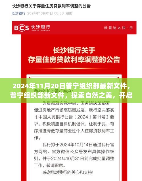 普宁组织部新文件，探索自然之美，开启心灵之旅的实践指引（2024年11月20日）