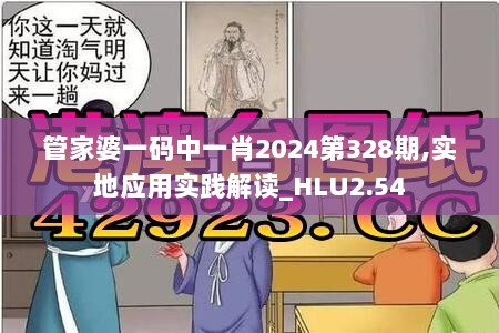 管家婆一码中一肖2024第328期,实地应用实践解读_HLU2.54