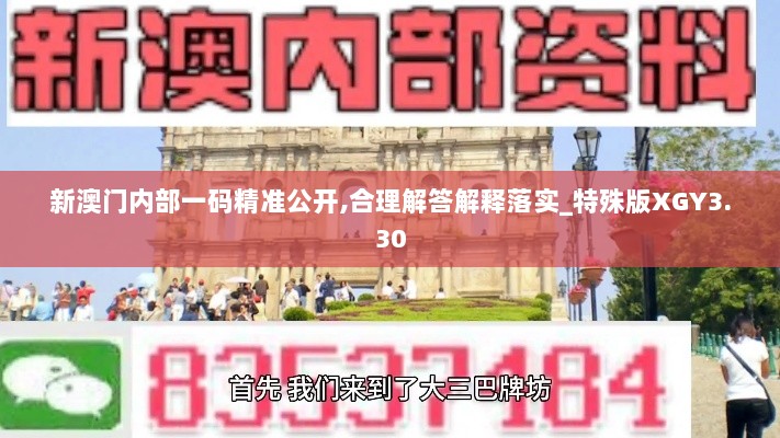 新澳门内部一码精准公开,合理解答解释落实_特殊版XGY3.30