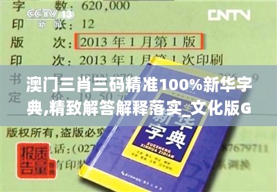 澳门三肖三码精准100%新华字典,精致解答解释落实_文化版GRU2.32