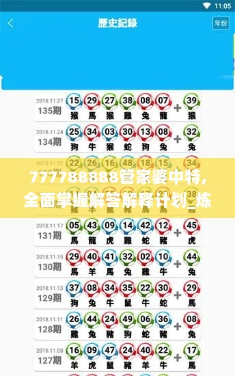 777788888管家婆中特,全面掌握解答解释计划_炼骨境AXF9.41