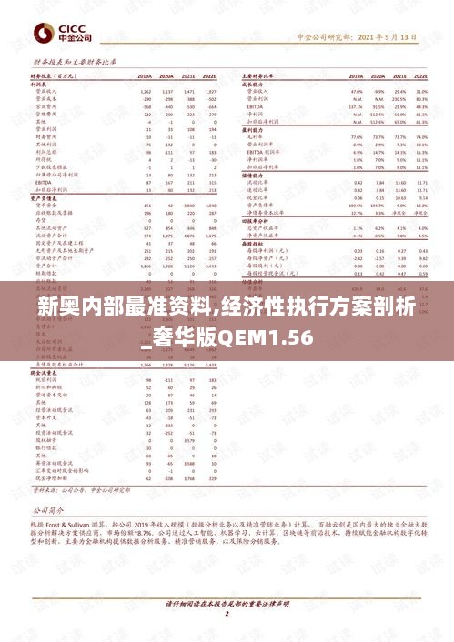 新奥内部最准资料,经济性执行方案剖析_奢华版QEM1.56