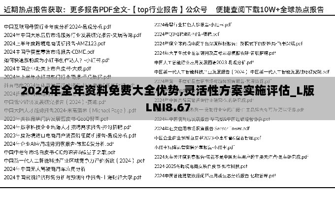 2024年全年资料免费大全优势,灵活性方案实施评估_L版LNI8.67