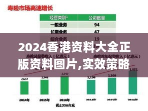 2024香港资料大全正版资料图片,实效策略解析_编程版PGV6.76