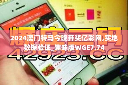 2024澳门特马今晚开奖亿彩网,实地数据验证_趣味版WGE7.74