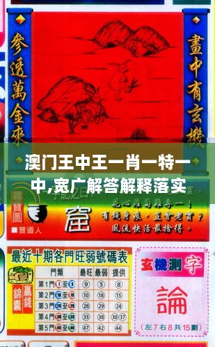 澳门王中王一肖一特一中,宽广解答解释落实_机器版QQR4.10