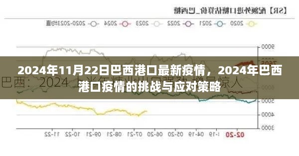 2024年巴西港口疫情挑战与应对策略最新报道