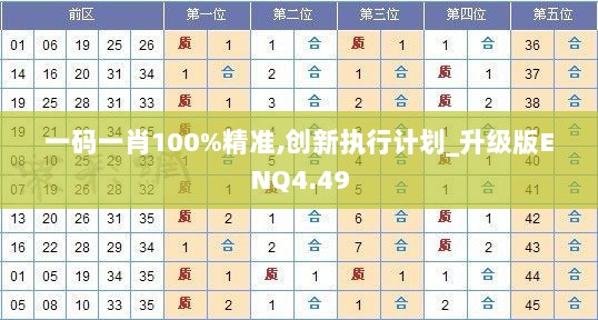 一码一肖100%精准,创新执行计划_升级版ENQ4.49