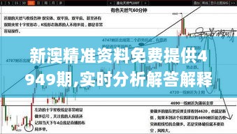 新澳精准资料免费提供4949期,实时分析解答解释计划_天然版GNW6.58