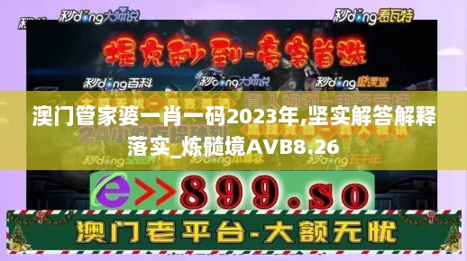 澳门管家婆一肖一码2023年,坚实解答解释落实_炼髓境AVB8.26