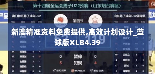 新澳精准资料免费提供,高效计划设计_蓝球版XLB4.39