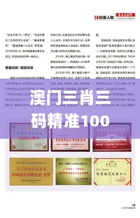 澳门三肖三码精准100%黄大仙,专业指导解释手册_旗舰款TDF1.72