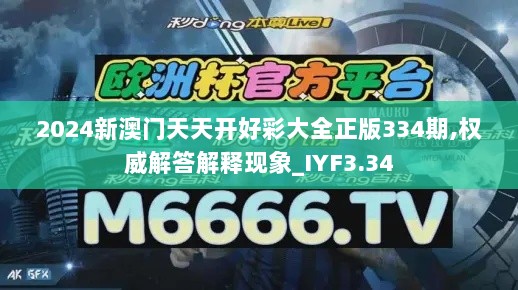 2024新澳门天天开好彩大全正版334期,权威解答解释现象_IYF3.34