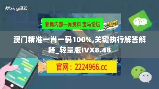 澳门精准一肖一码100%,关键执行解答解释_轻量版IVX8.48