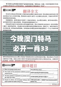 今晚澳门特马必开一肖332期,高效计划实施解析_UTG1.77